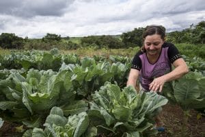 La incorporación de los pequeños productores a los mercados es una prioridad para el IICA.