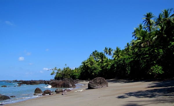 Corcovado alberga el 2,5% de la biodiversidad de todo el mundo (Archivo).