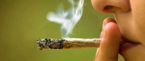 Casi el 80% de los entrevistados dijeron estar en contra del uso recreacional de la marihuana (Fotografía de Reproducción Asistida ORG).