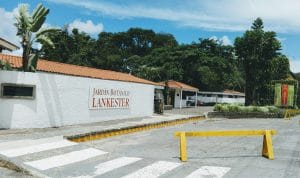 En Paraíso de Cartago está este paraíso del mundo vegetal.