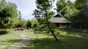 El jardín japonés es un regalo del país asiático.