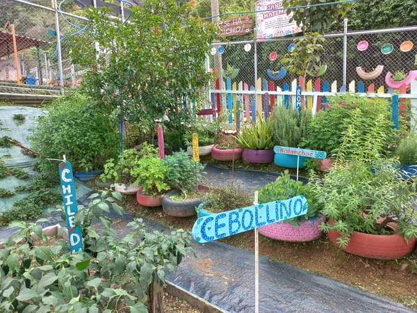Carousel image