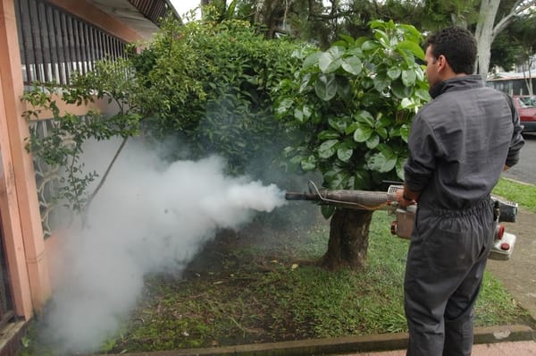Fumigación de viviendas contra el mosquito transmisor del Dengue /UCR