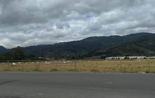 Terreno donde se pretende construir el nuevo hospital de Cartago | CCSS