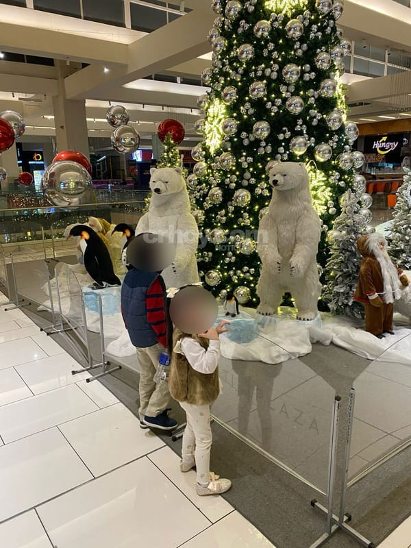 Carousel image