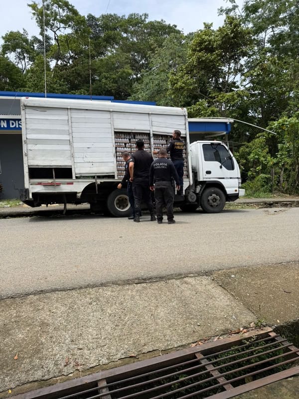Decomiso en Bahía Ballena en junio de 2026