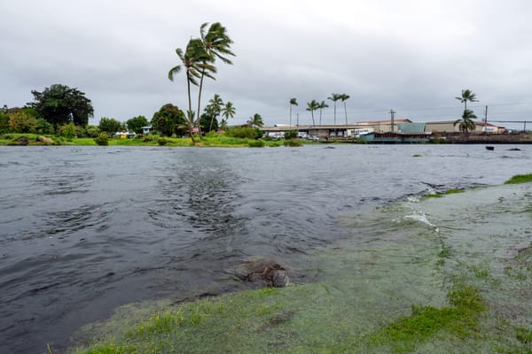 Se espera que la tormenta tropical Lala trae consigo vientos, lluvias y oleaje peligrosos, mientras que el gobernador del estado declaró el estado de emergencia.