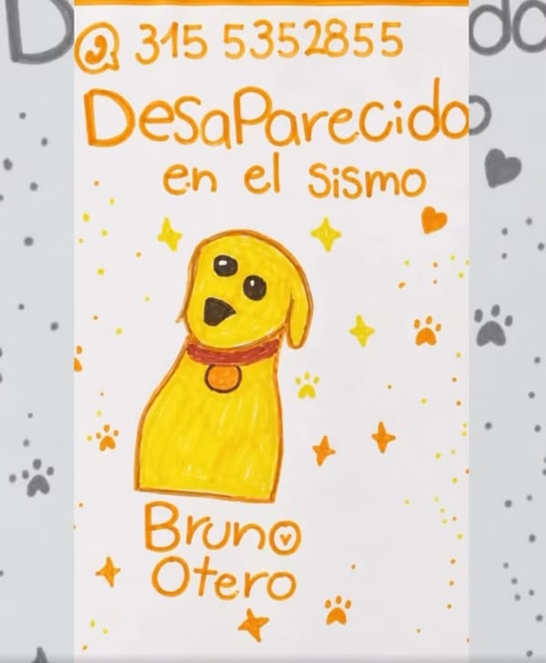 Bruno y Antonia rescate en Colombia