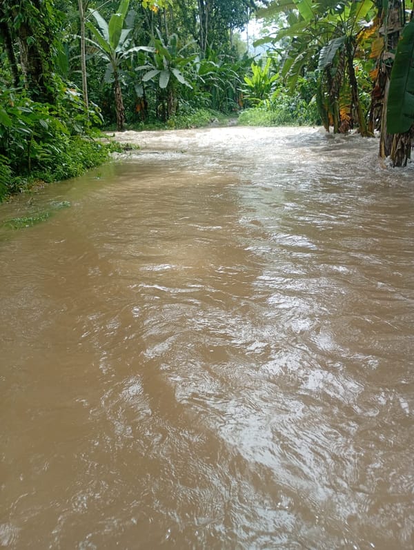 Finca inundada en el territorio indígena Tayní