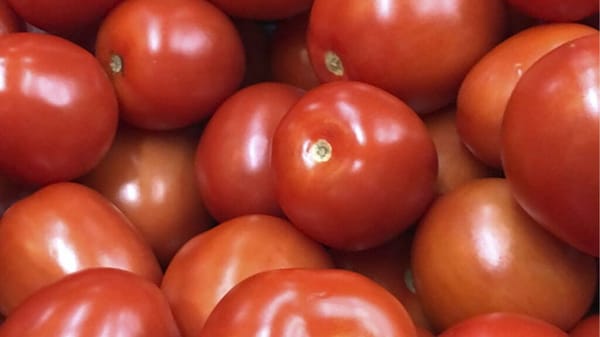 Tomates