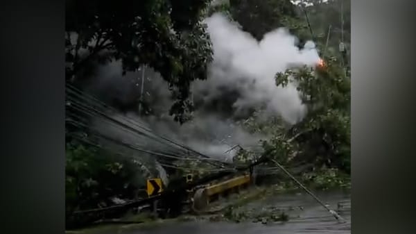 caída de árbol sobre puente La Fortuna
